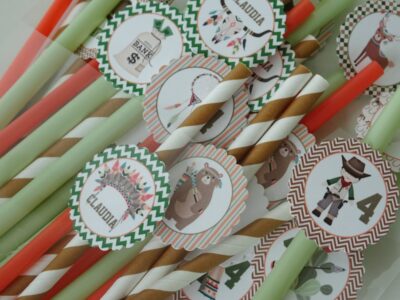 fiesta de indios y vaqueros