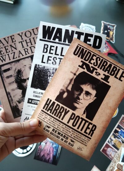 fiesta Harry Potter