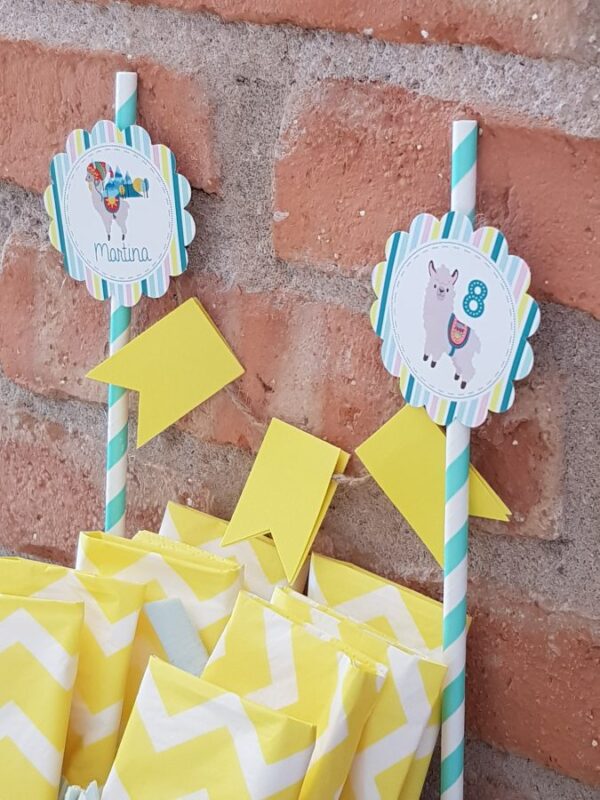 Kit fiesta Llama