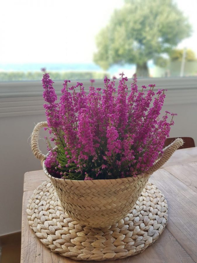 Ideas para decorar con brezo