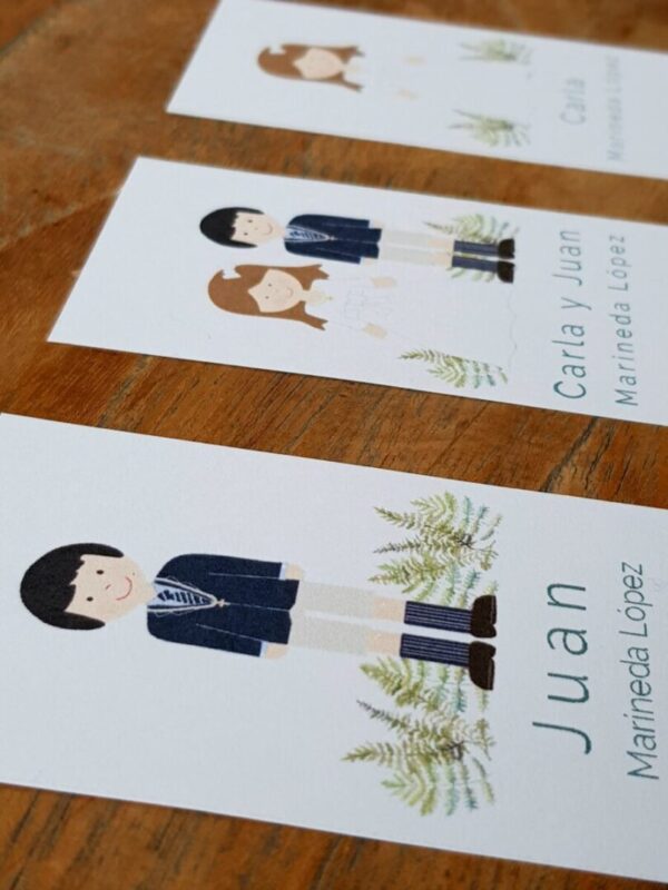 Kit Helechos - Imagen 3