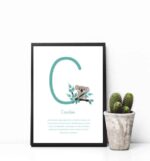 Lámina Inicial Koala