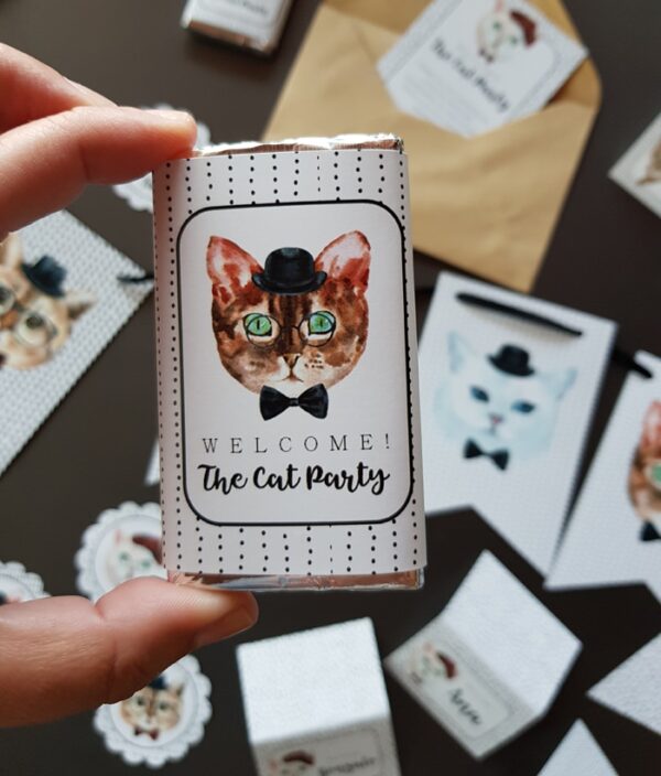 Kit fiesta gatos