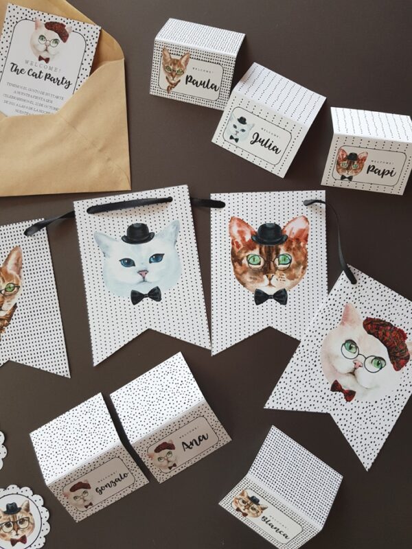 Kit fiesta gatos