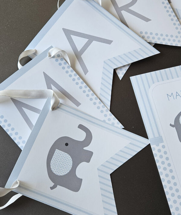 Bautizo Elefantes Azul - Imagen 3